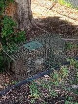 Rapid Wildlife Services photo 4