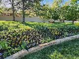 Linden Landscape Services photo 8