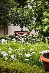 Proactive Landscaping