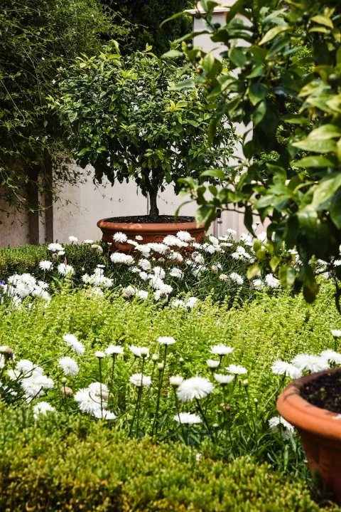 Proactive Landscaping photo 1