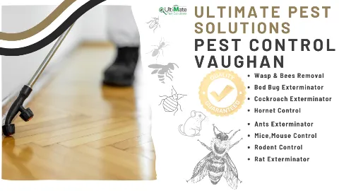 Ultimate Pest Solutions - Pest Control Vaughan in Vaughan