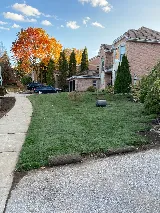 Dw Landscaping photo 3