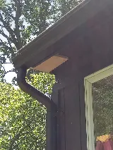 Pest Control PRO - Dublin photo 4