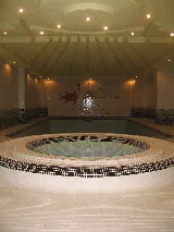 Queen Pools and Spas Inc. photo 5