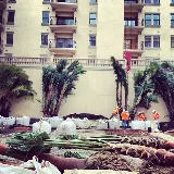 Four Seasons Landscape and Property Services photo 4