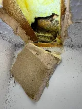 Local Guy Pest Control photo 4