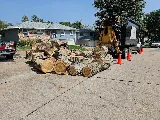 M&A Tree Service, Construction And Landscaping photo 8