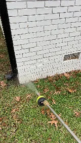 Thrive Pest Control photo 5