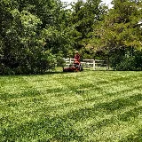 Western Lawn & Landscape LLC photo 4