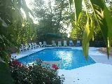 Panda Pools photo 6
