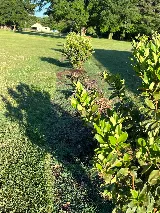 Brooks Landscaping photo 4