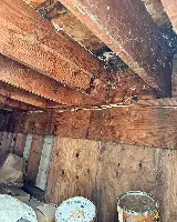 Rockwell Pest Solutions photo 6
