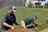 LandGreen Landscaping Inc. photo 2