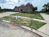 Barefoot Lawns & Lights photo 4