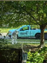 Mint Pest Control photo 8