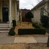 Affordable Lawn Care photo 5