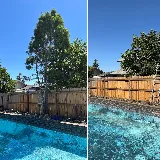 Legacy Lawn Care & Landscaping photo 3