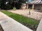 EcoGuard Pest Control photo 3
