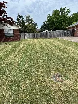 Broke Boy Lawn Care photo 2