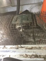 Hurd Pest Control LLC photo 5