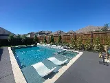 Ideal Landscape Services, Inc. photo 5