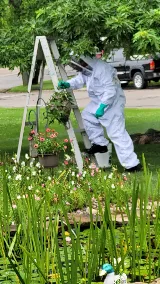 Greenix Pest Control photo 7