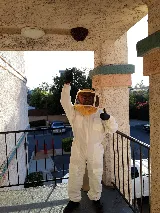 Outstanding Pest Solutions photo 8
