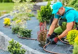 Landscaping Lubbock Pro photo 4
