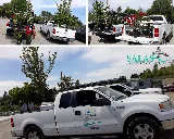 Salas Landscaping LLC