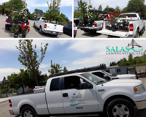 Salas Landscaping LLC photo 1