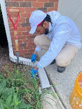 Lookout Pest Control photo 8