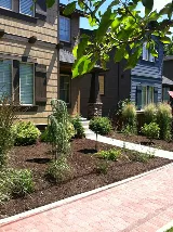 Organicscapes INC. photo 8