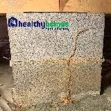Healthy Homes Pest Control photo 2