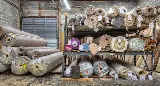 Cardinal Distributors, Inc. photo 4