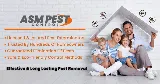 ASM Pest Control photo 4