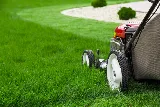 Vision Landscaping photo 5