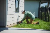 Goldie's Pest Control photo 2