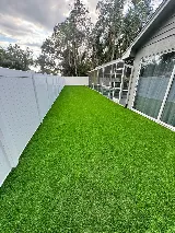 Orlando Evergreen Lawn & Landscaping photo 8