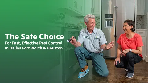 All-Safe Pest & Termite in Plano