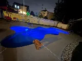 Exquisite Pools & Spa LLC photo 5
