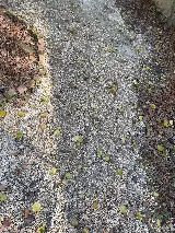 Barnett Concrete Work, LLC photo 8