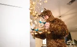 The Pest Detective Termite and Pest Control photo 5