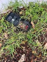 Statewide Pest Control, INC. photo 5