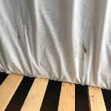 Boston Best Pest Control photo 4