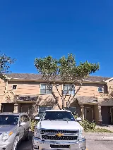 BARRIOS Landscaping and Irrigation photo 5