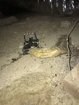 Ikill Pest Control Inc photo 5