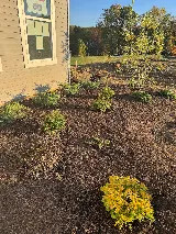 Rockford Homes photo 5