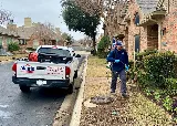 Alamo Termite & Pest Control photo 3