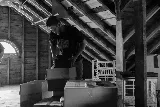 The Move Crew - Minneapolis Movers photo 8