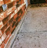 Urbanex photo 5